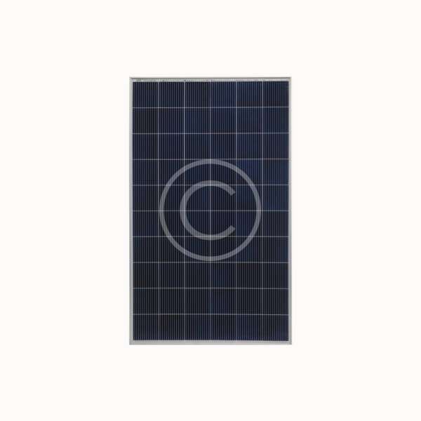 Longi Solar - Hình ảnh 3